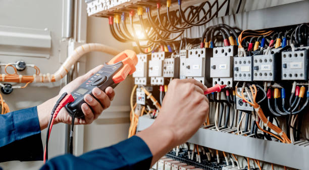 Best Electric Panel Repair  in Potosi, MO